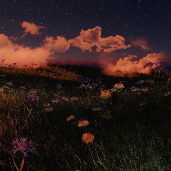 Meet your Posher, Bri - Picture 1 of 1